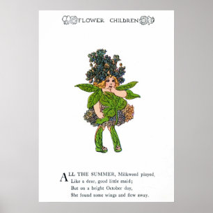 Poster Milkweed