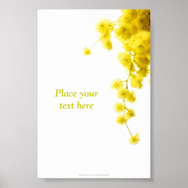 Poster Mimosa (Devant)