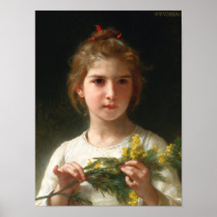 Poster Mimosa par William Bouguereau