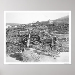 Poster Mine d'or d'Anvil Creek Alaska 1916