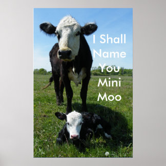 Poster Mini-Moo