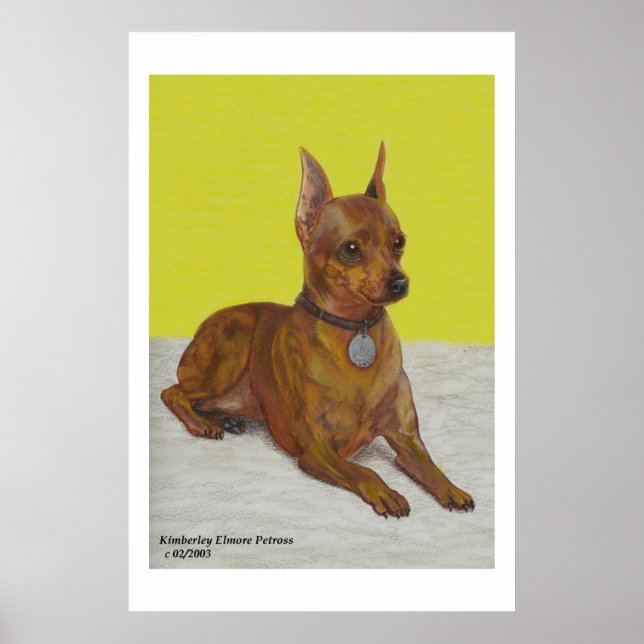 Poster Miniature de Pinscher (Devant)