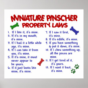 POSTER MINIATURE PINSCHER PL2