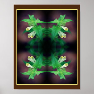 Poster Minuscule Fleur Blanche Sauvage Miroir Art Floral