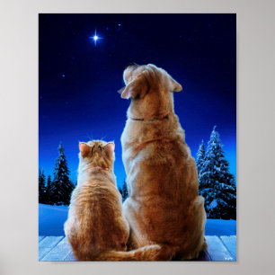Poster Miracle de Noël pour chat et chien