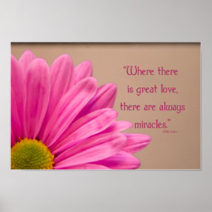 Poster Miracles rose Gerber Daisy