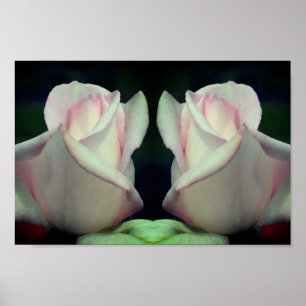 Poster Miroir à fleurs rose rose Abstrait