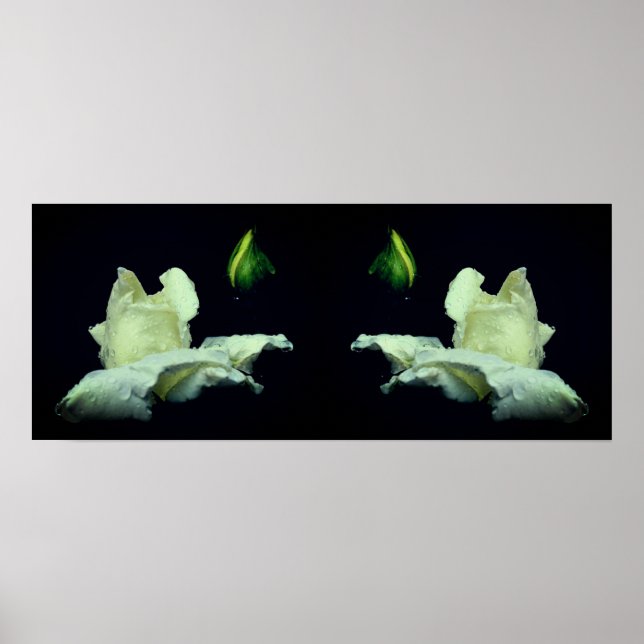 Poster Miroir à fleurs Rosebud blanc Abstrait (Devant)