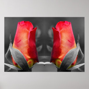 Poster Miroir de couleur partielle Red Rosebud Abstrait