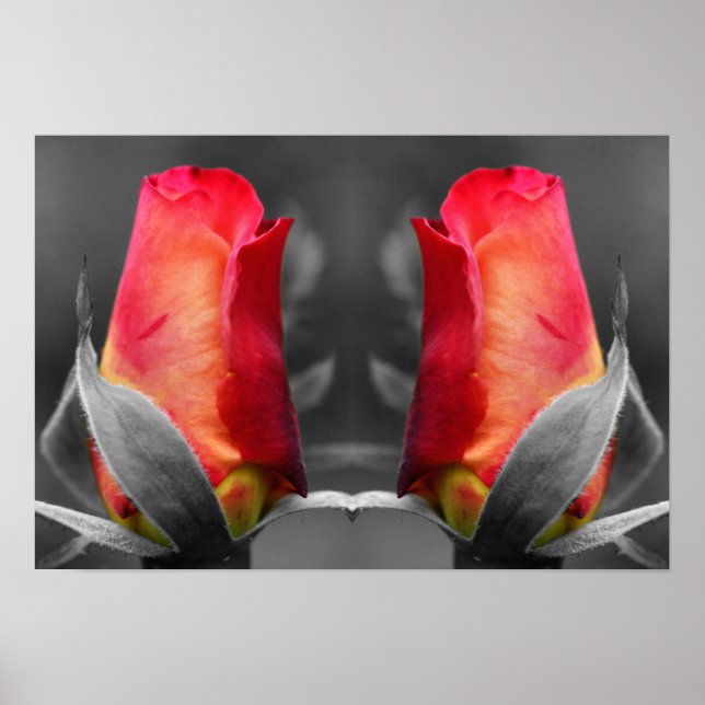 Poster Miroir de couleur partielle Red Rosebud Abstrait (Devant)