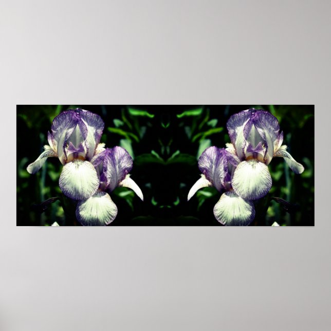 Poster Miroir Fleur Iris Blanc Violet Porté Abstrait (Devant)