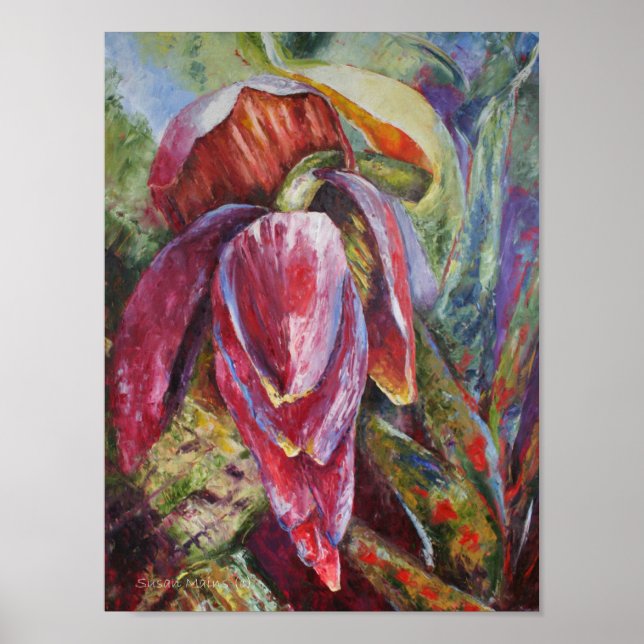 Poster Miss Dominica (Devant)