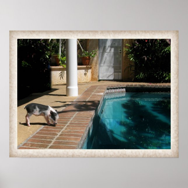 Poster Miss Piggy au paradis (Devant)