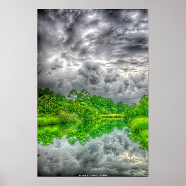 Poster Mississippi Bayou (Devant)