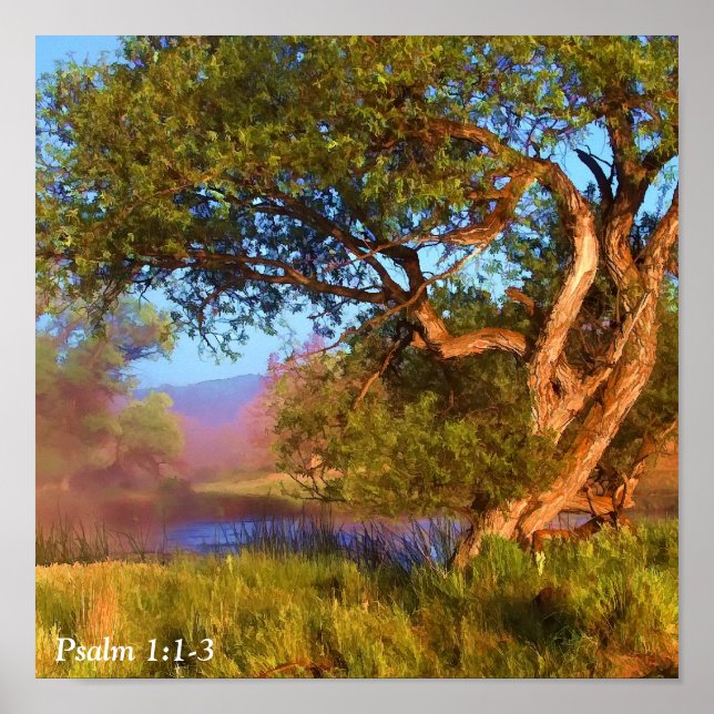 POSTER MIST DU MATIN SUR LA SHASTA 2 (Devant)