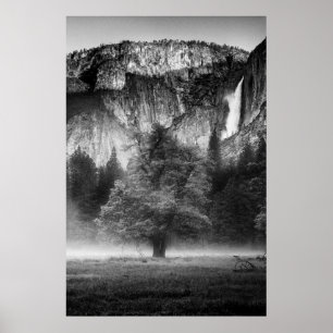 Poster Mist in the Meadow