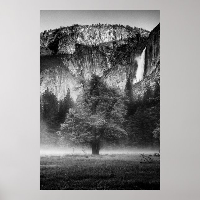 Poster Mist in the Meadow (Devant)