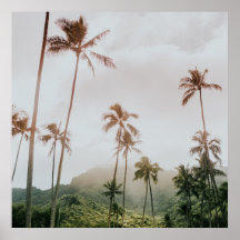 Misty Morning Palms à Oahu, Hawaii