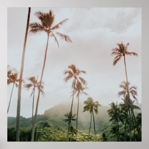 Poster Misty Morning Palms à Oahu, Hawaii