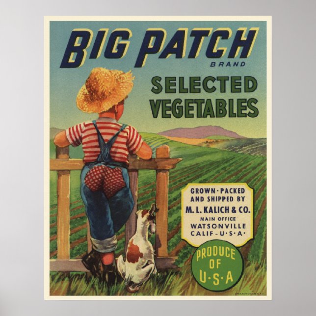 Poster mit dem Vintagen Gütesiegel "Country Boy an (Vorne)