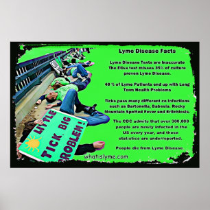 Poster mit Fakten zur Lyme-Borreliose
