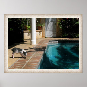 Poster Mlle Piggy dans le paradis