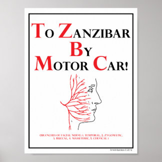 Poster Mnemonic : Vers Zanzibar En Voiture Automobile
