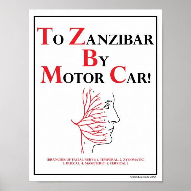Poster Mnemonic : Vers Zanzibar En Voiture Automobile (Devant)