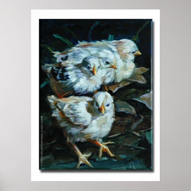 Poster Moa Chicks 2 (Devant)