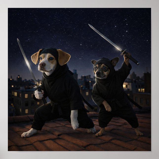 Poster "Mode furtif" (Devant)