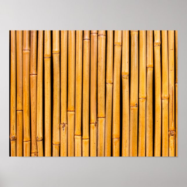 Poster Modèle Arrière - plan hawaïen tropical (Devant)