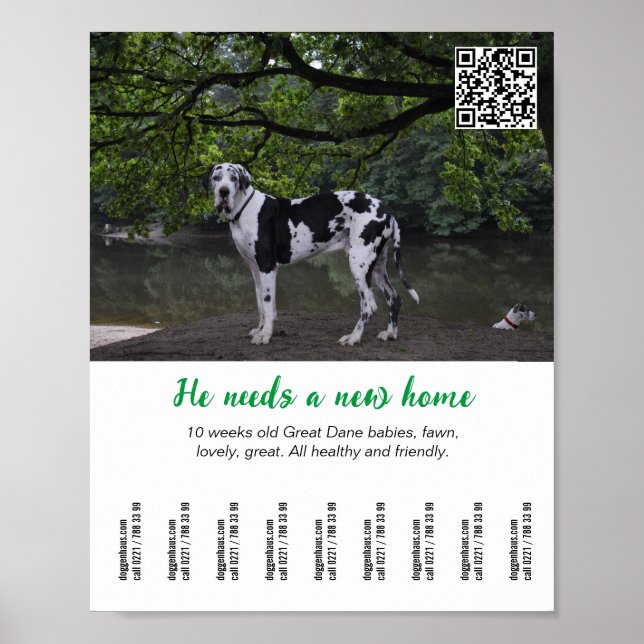 Poster Modèle d'affiche de chien à vendre  (Devant)