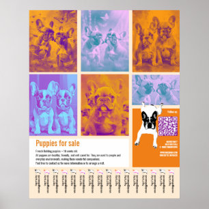 Poster Modèle d'affiche de chiots à vendre 6 images Code