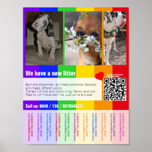 Poster modèle d'affiche de vente de chiots imprimable