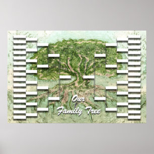 Poster Modèle de l'arbre généalogique