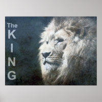 Modèle de Lion branché Nature Animal Le Roi Photo