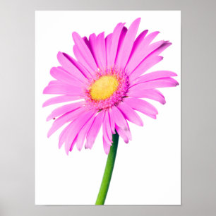 Poster Modèle de marguerites customisé par marguerite