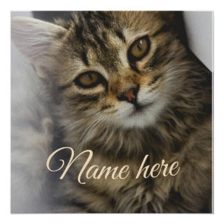Poster Modèle de photo de nom d'animal de compagnie simpl