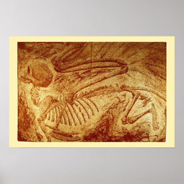Poster Modèle n° 2 : Sphinx Fossil (Devant)