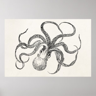 Poster Modèle Octopus vintage sur papier antique