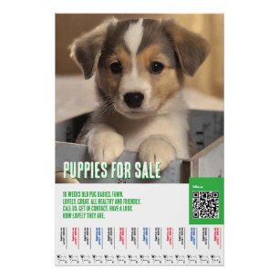 Poster Modèles de flyers pour chiots à vendre