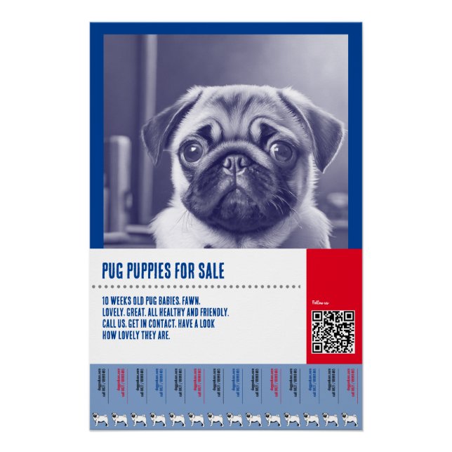 Poster Modèles de flyers pour la vente de chiots Pug (Devant)