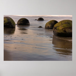 Poster Moeraki Boulders sur la plage