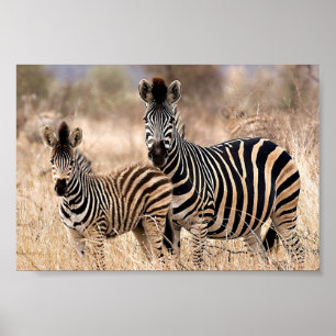 Poster Moi et maman