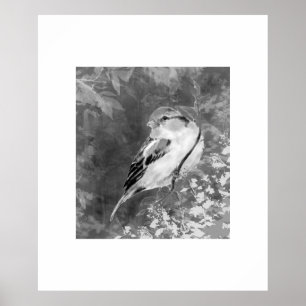 Poster Moineau à l'aquarelle dans la forêt