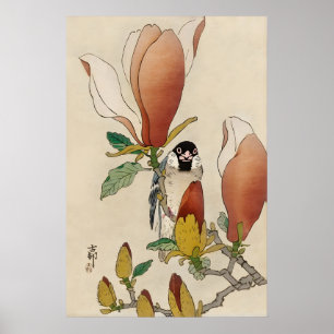 Poster Moineau sur branche de magnolia en fleurs Fine jap