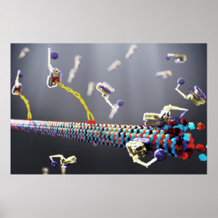 Poster Molecular Machines