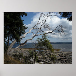 Poster Moments pacifiques