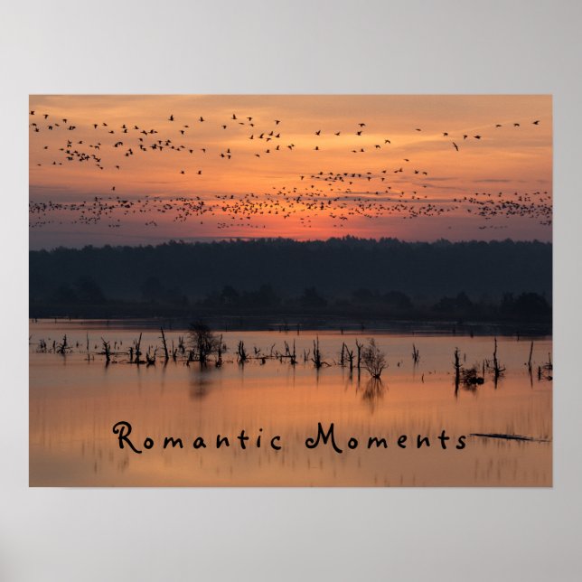Poster Moments romantiques Oiseaux au lever du soleil pho (Devant)