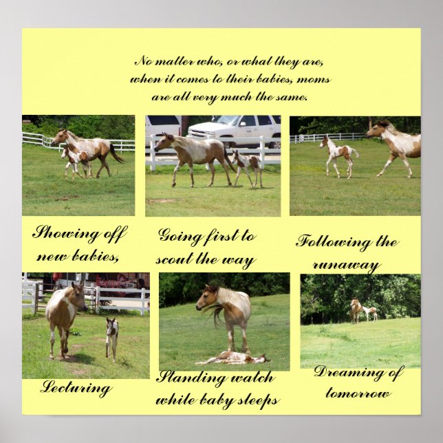 Poster Moms et bébés (Devant)